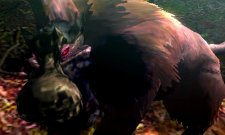 Monster Hunter 4 mh4-9