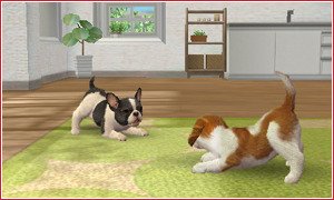 Nintendogs-+-Cats_3