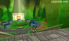 Dragon Quest Monsters- Terry's Wonderland 3D images screenshots 013.jpg