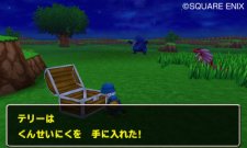 Dragon Quest Monsters- Terry's Wonderland 3D images screenshots 015.jpg