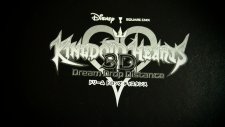 Kingdom Hearts 3D 10th Anniversary Collector Edition 08.06 (17)
