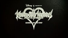 Kingdom Hearts 3D 10th Anniversary Collector Edition 08.06 (18)