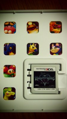 Kingdom Hearts 3D 10th Anniversary Collector Edition 08.06 (23)