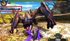 monster Hunter 4 08.11.2012 (7)