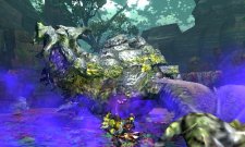 Monster Hunter 4 27.06.2013 (16)