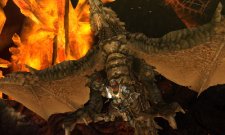 Monster Hunter 4 27.06.2013 (17)