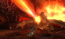 Monster Hunter 4 27.06.2013 (18)