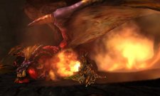 Monster Hunter 4 27.06.2013 (19)