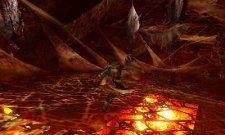 Monster Hunter 4 27.06.2013 (24)