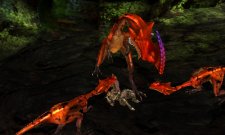 Monster Hunter 4 27.06.2013 (27)