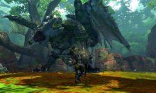 Monster Hunter 4 27.06.2013 (2)