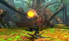 Monster Hunter 4 27.06.2013 (6)