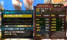 Monster-Hunter-Tri-G_2011_11-30-11_005