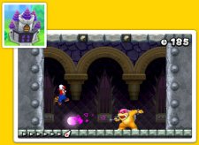 New-Super-Mario-Bros-2_18-07-2012_screenshot-5