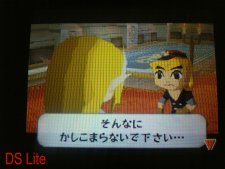 Ninendo 3DS Vs DS Lite comparaison Japan zelda spirit (20)