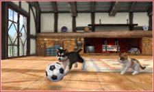 Nintendogs-+-Cats_1