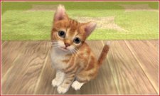 Nintendogs-+-Cats_2