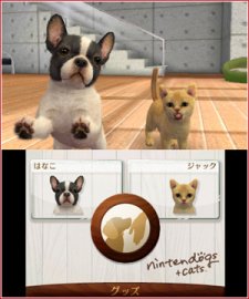 Nintendogs-+-Cats_5