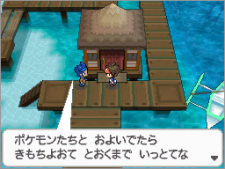 Pokémon-Blanc-Noir-Version-Blanche-Noire-2_14-04-2012_screenshot-28