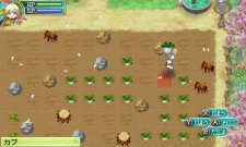 Rune-Factory-4_28-05-2012_screenshot-10