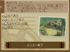screenshot-capture-image-TotA-Tales-of-the-Abyss-Nintendo-3DS-43