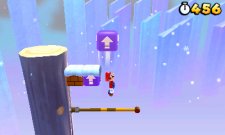 Super-Mario-3D-Land_07-10-2011_screenshot-13